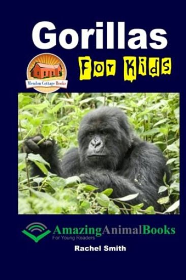 Gorillas For Kids