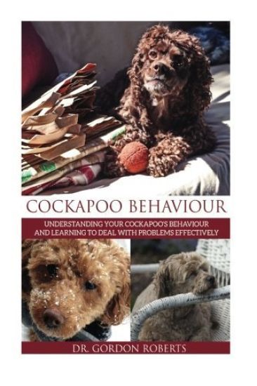 Cockapoo Behaviour: Understanding your Cockapoo's Behaviour and Learning to Deal with Problems Effectively