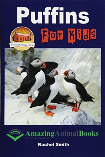 Puffins For Kids