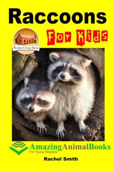 Raccoons For Kids