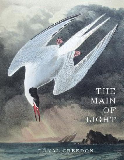 The Main Of Light: Common Ground and Dividing Lines in the Teachings of Jiddu Krishnamurti and Buddhism