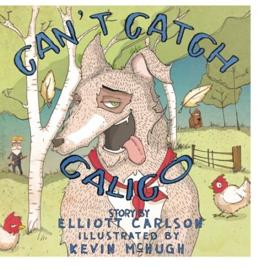 Can't Catch Calico