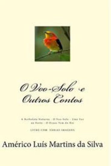 O Voo-Solo e Outros Contos: A Borboleta Noturna - O Voo-Solo - Uma Voz na Noite - O Ocaso Vem do Rio