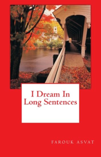 I Dream In Long Sentences
