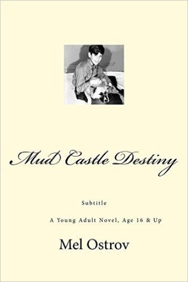 Mud Castle Destiny: A Young Adult Novel, Age 16 & Up