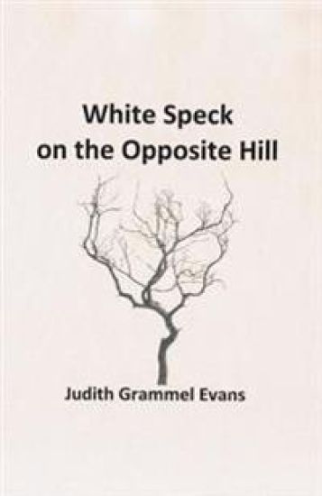 White Speck on the Opposite Hill