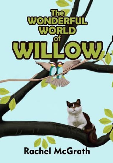The Wonderful World of Willow