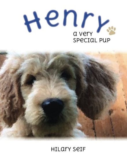 Henry: A Special Pup