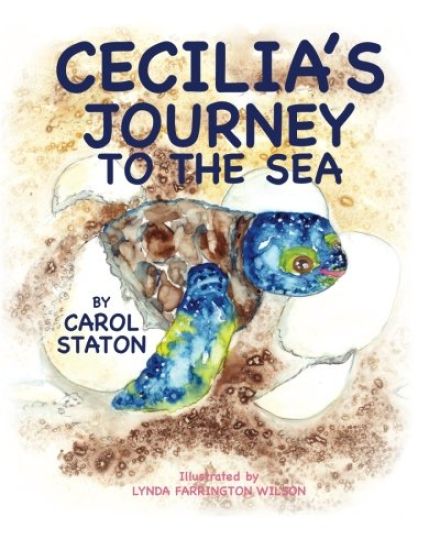 Cecilia's Journey to the Sea