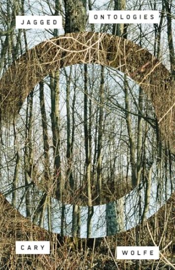 Jagged Ontologies Volume 81