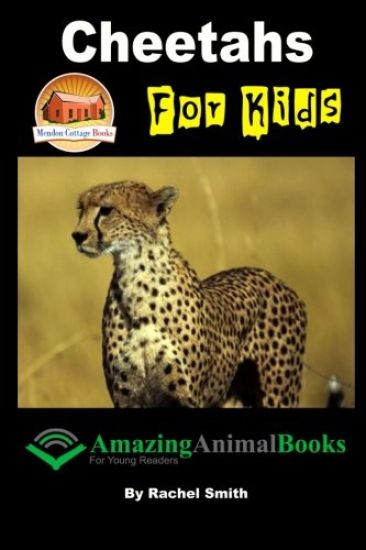 Cheetahs For Kids