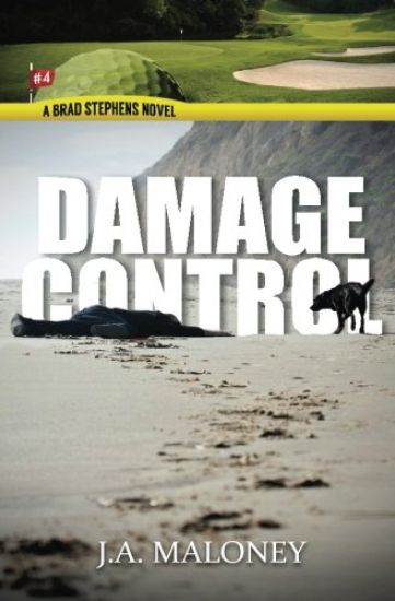 Damage Control: A Brad Stephens Novel. Hole #4