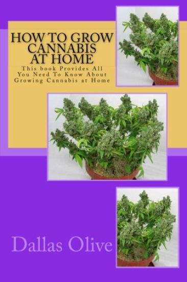 How to Grow Cannabis at Home: This book Provides All You Need To Know About Growing Cannabis at Home