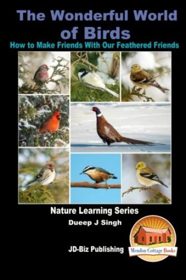 The Wonderful World of Birds - How to Make Friends With Our Feathered Friends