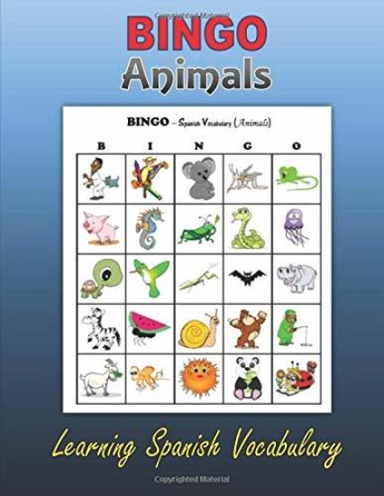 Bingo