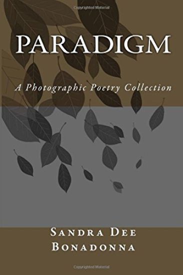 Paradigm: A Photographic Poetry Collection