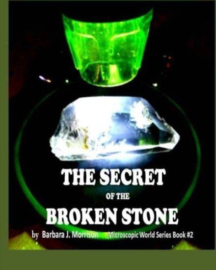 The Secret of the Broken Stone: The Microscopic World Series Book 2