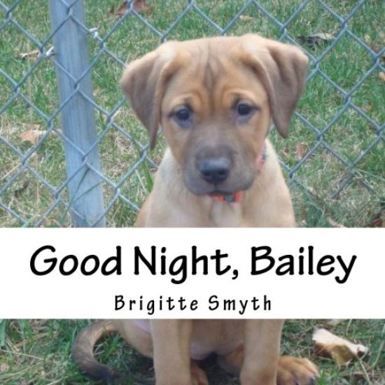 Good Night, Bailey