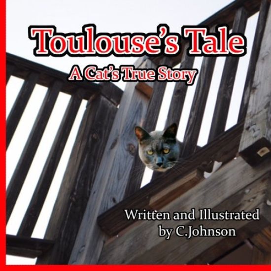 Toulouse's Tale: A Cat's True Story