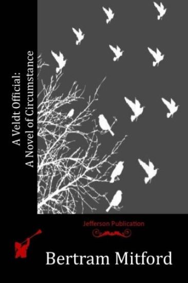 A Veldt Official: A Novel of Circumstance