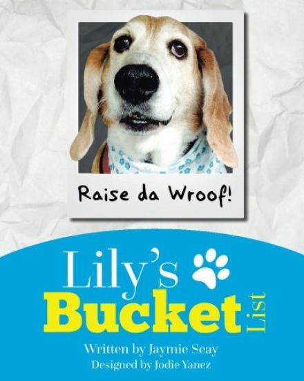 Lily's Bucket List: A journey to the Rainbow Bridge
