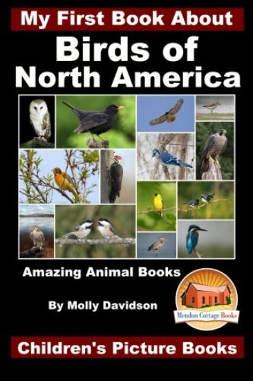 My First Book About the Birds of North America - Amazing Animal Books - Children's Picture Books