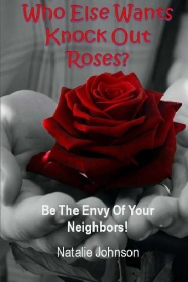 Who Else Wants Knockout Roses?