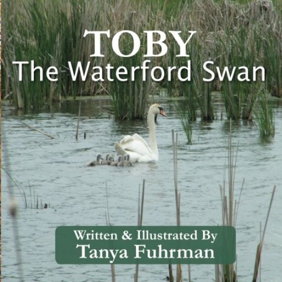 Toby The Waterford Swan: Children's Religious Nature Book of a Bird Family, to Encourage Kids With Disability