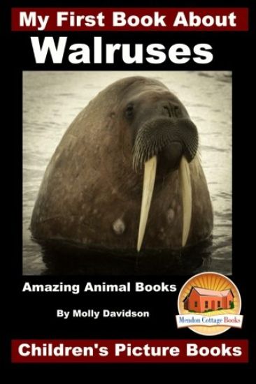 My First Book About Walruses - Amazing Animal Books - Children's Picture Books