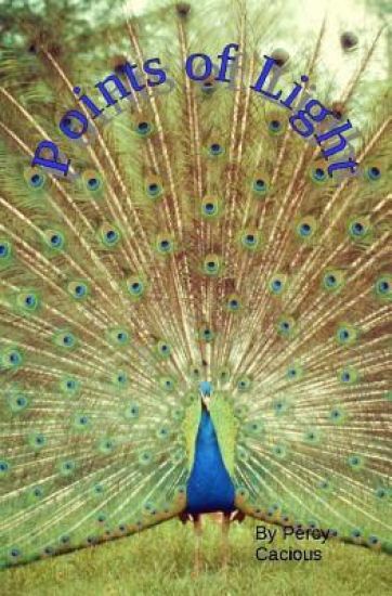 Points of Light: Touches of Heaven