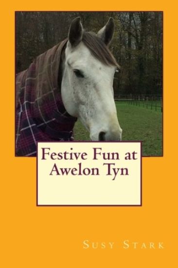 Festive Fun at Awelon Tyn
