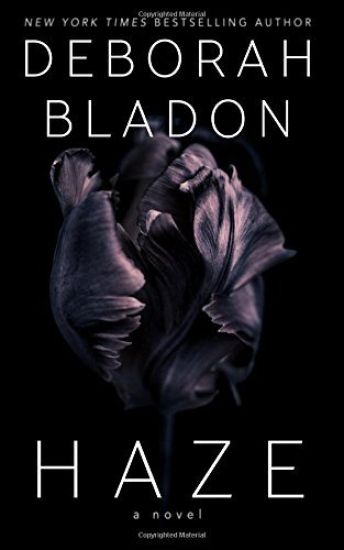 HAZE - A Novel