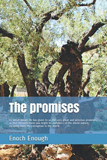 The promises: by which means He has given to us the very great and precious promises, so that through these you might be partakers o