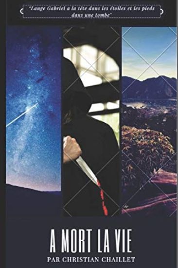 A Mort La Vie: Une Enquête de Lange Gabriel