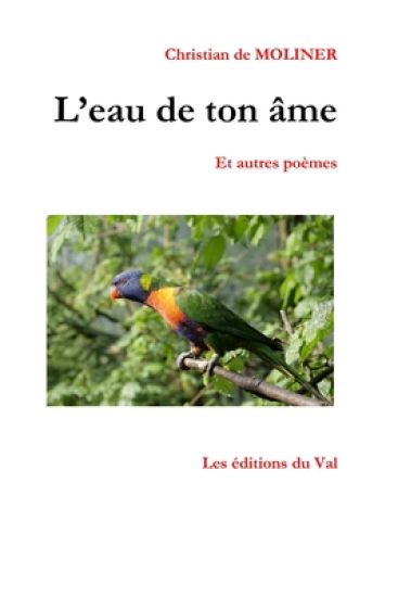 L'eau de ton âme: Les éditions du Val