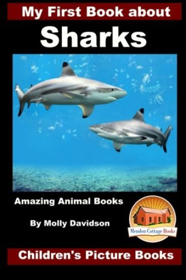 My First Book about Sharks - Amazing Animal Books - Children's Picture Books