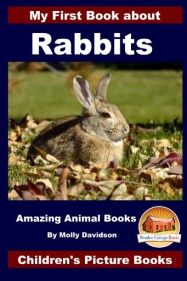 My First Book about Rabbits - Amazing Animal Books - Children's Picture Books