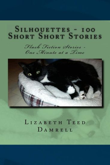 Silhouettes - 100 Short Short Stories: Flash Fiction Stories - One Minute at a Time