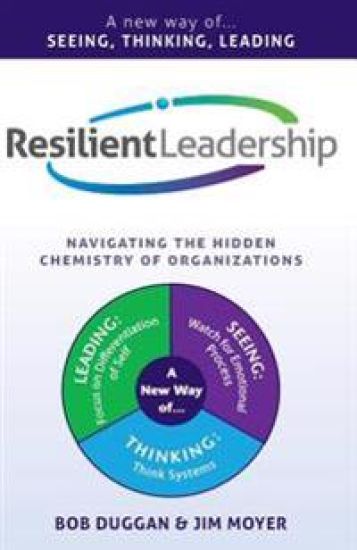 Resilient Leadership: Navigating The Hidden Chemistry of Organizations