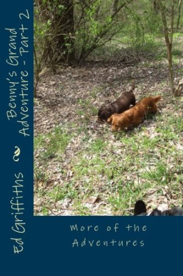 Benny's Grand Adventure - Part 2: More of the Adventures