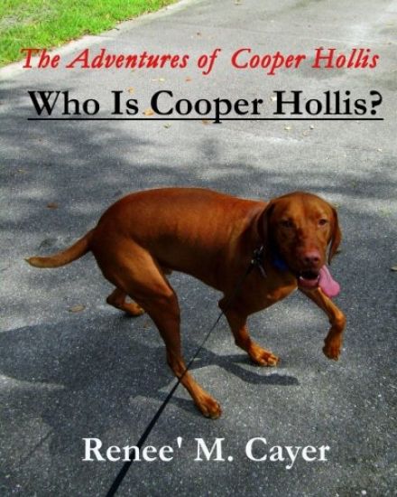 The Adventures of Cooper Hollis: Who is Cooper Hollis?