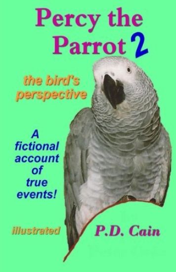 Percy the Parrot 2: the bird's perspective