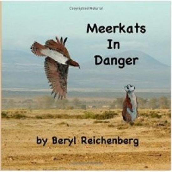 Meerkats In Danger
