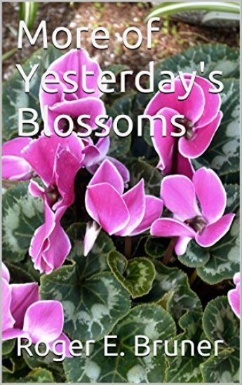 More of Yesterday's Blossoms