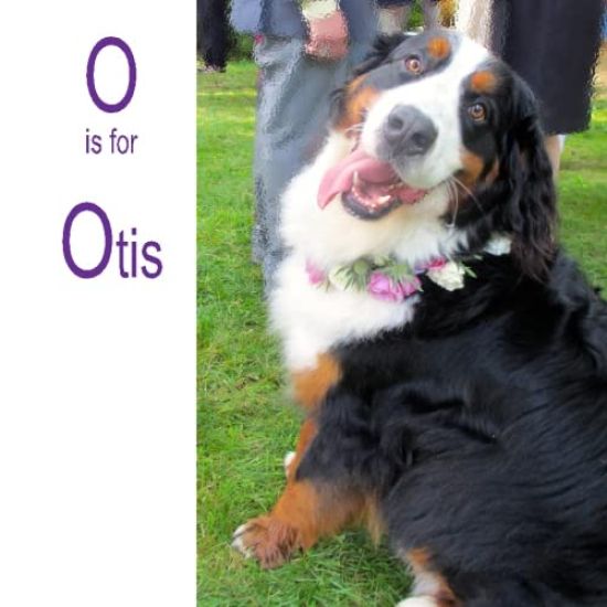 O is for Otis