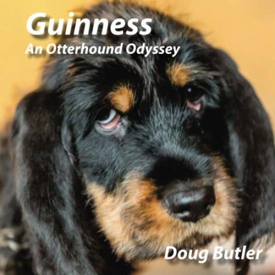 Guinness: An Otterhound Odyssey