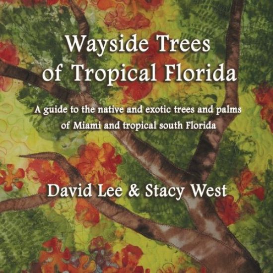 Wayside trees of miami