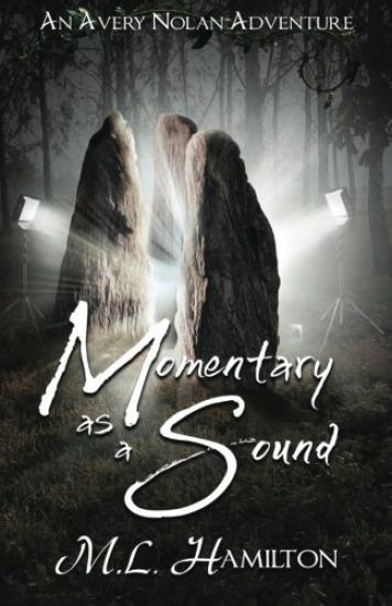 Momentary As A Sound