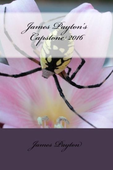 James Payton's Capstone 2016