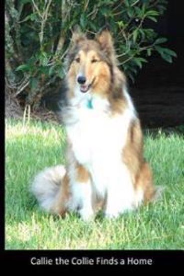 Callie the Collie finds a home: A true story with a happy ending about a puppy who wanted to find a home and someone to love her